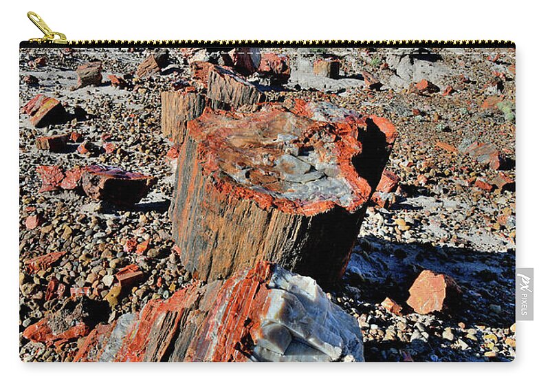 Petrified Forest National Park Zip Pouch featuring the photograph Beautiful Jasper Forest of Petrified Forest NP by Ray Mathis