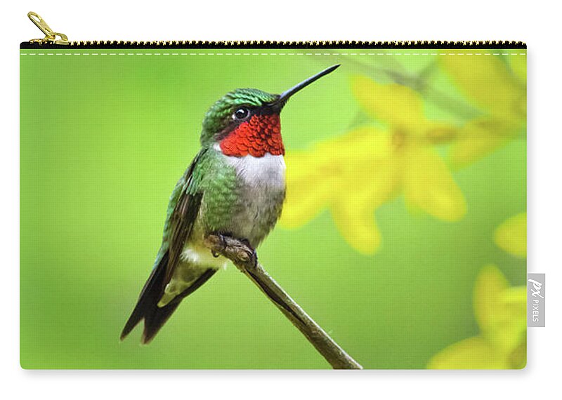 Hummingbird Zip Pouch featuring the photograph Beautiful Summer Hummer by Christina Rollo