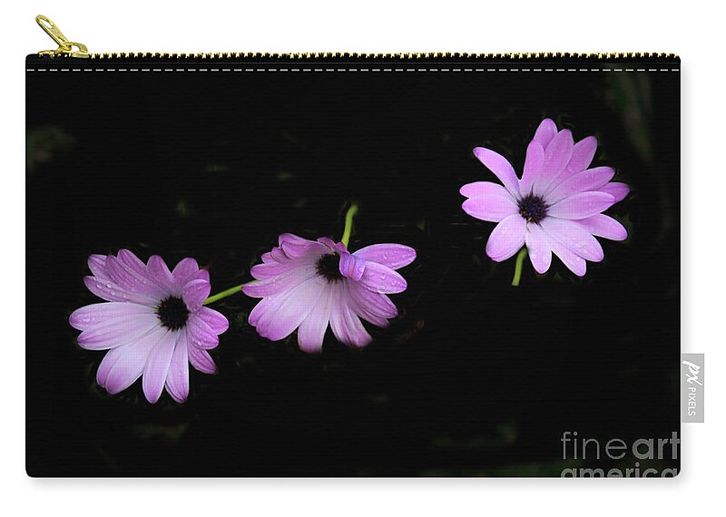 Pink Zip Pouch featuring the photograph Beautiful Trio At JSG by Al Bourassa