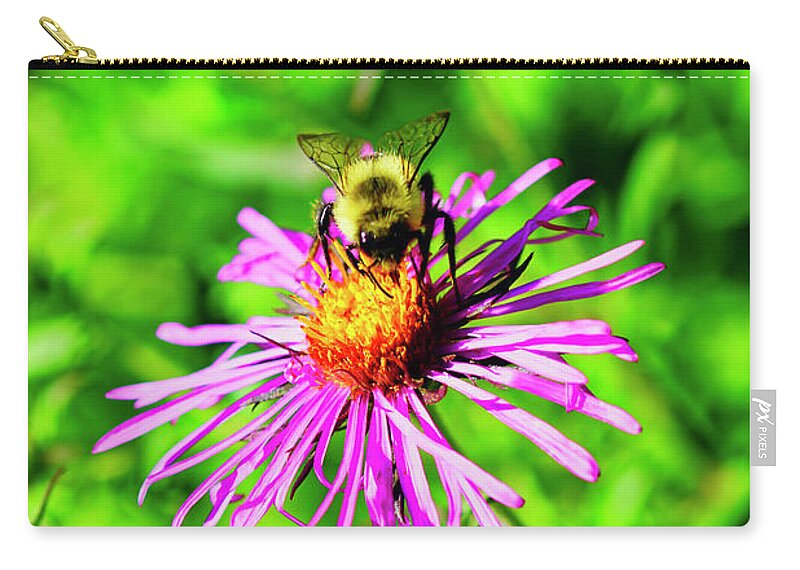 Bee Zip Pouch featuring the photograph Bee On Aster by Meta Gatschenberger