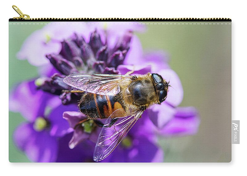Flowers Zip Pouch featuring the photograph Bee on Top by Rebecca Cozart
