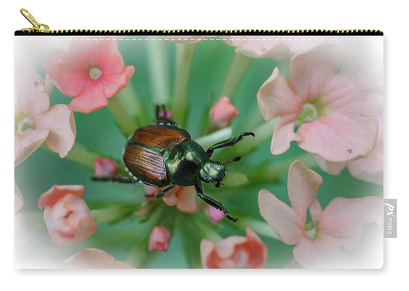 Beetle Zip Pouch featuring the photograph Beetle on a Flower by Laura Smith