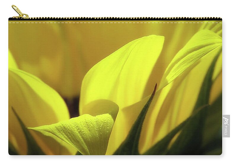 Sunflower Zip Pouch featuring the photograph Being Very Close by Johanna Hurmerinta
