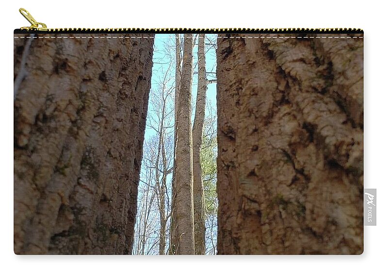Trees Zip Pouch featuring the photograph Between the Trees by Anita Adams