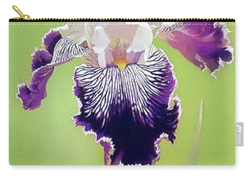 Russian Artists New Wave Zip Pouch featuring the painting Bi-colored Iris Flower by Alina Oseeva