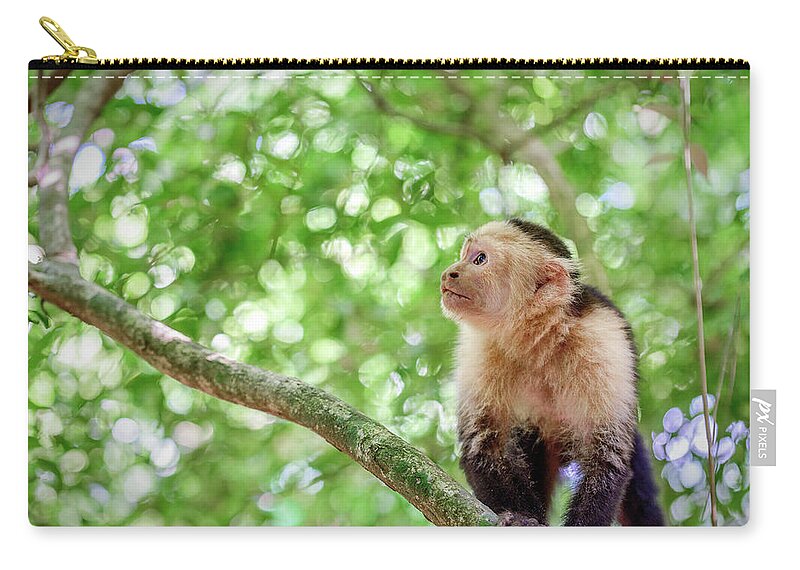Monkey Zip Pouch featuring the photograph Billy the Monkey from Honduras by Mike Whalen