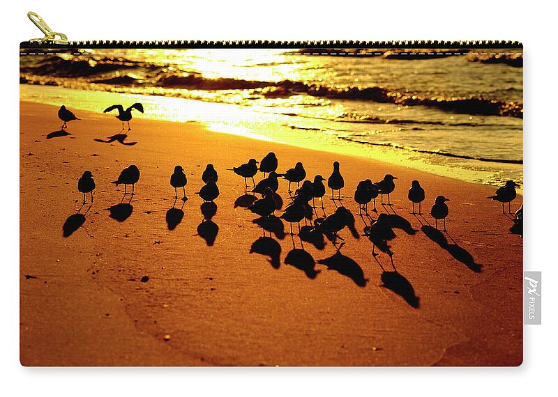 Beach Zip Pouch featuring the photograph Bird Shadows by Tom Gresham
