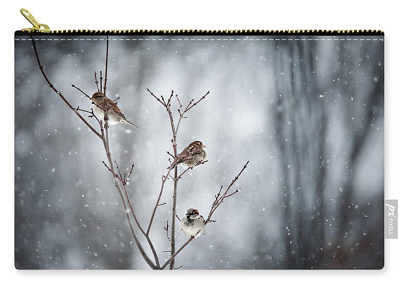 Windsor Zip Pouch featuring the photograph Birds In Snow by Winterwood Photography