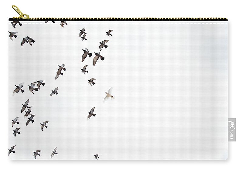 Mid-air Zip Pouch featuring the photograph Birds In The Sky by Oliver Rossi