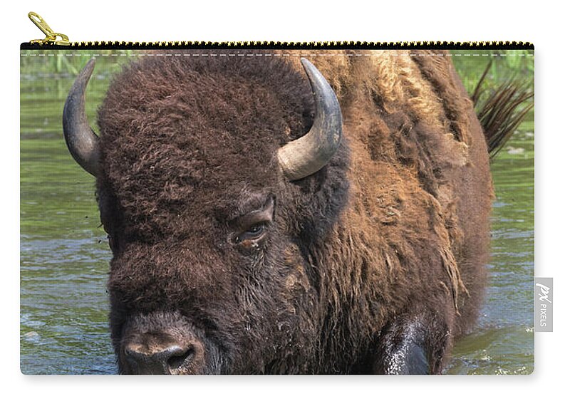 America Zip Pouch featuring the photograph Bison Bathing by Ivan Kuzmin