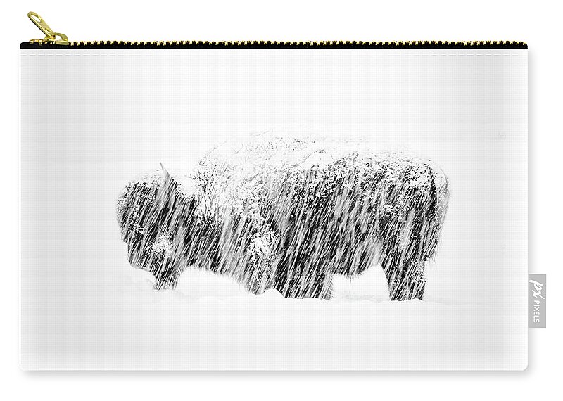 American Bison Carry-all Pouch featuring the photograph Bison in Painted Snow by Max Waugh