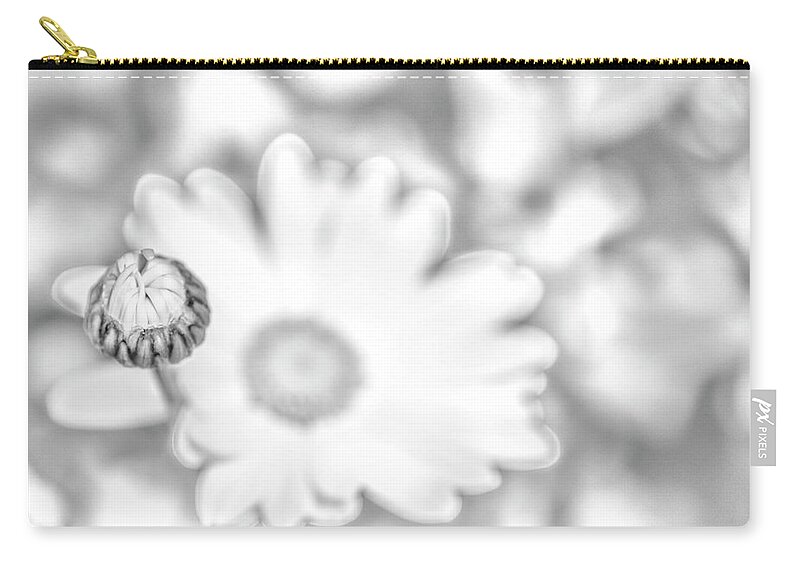 Daisy Carry-all Pouch featuring the photograph Black and White Daisy Bud by Kathy Paynter