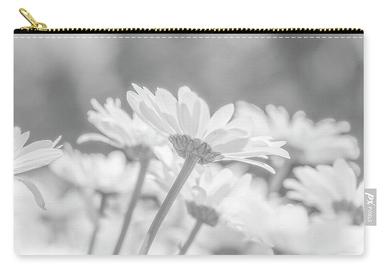 Daisy Carry-all Pouch featuring the photograph Black And White Daisy by Kathy Paynter