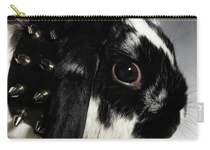 Black Color Zip Pouch featuring the photograph Black And White Rabbit, With Studded by Michael Blann