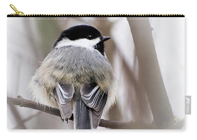 Chickadee Zip Pouch featuring the photograph Black Capped Chickadee by Christina Rollo