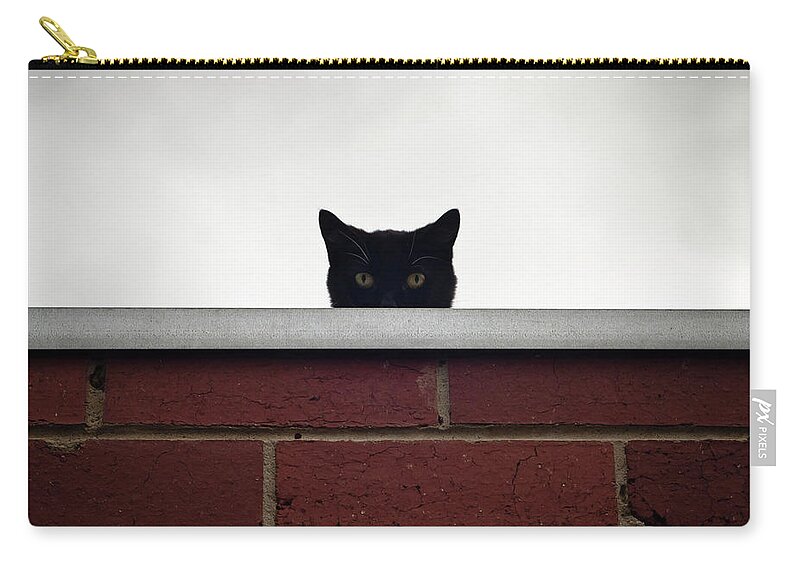 Alertness Zip Pouch featuring the photograph Black Cat Peeking Over Wall by John Abbate