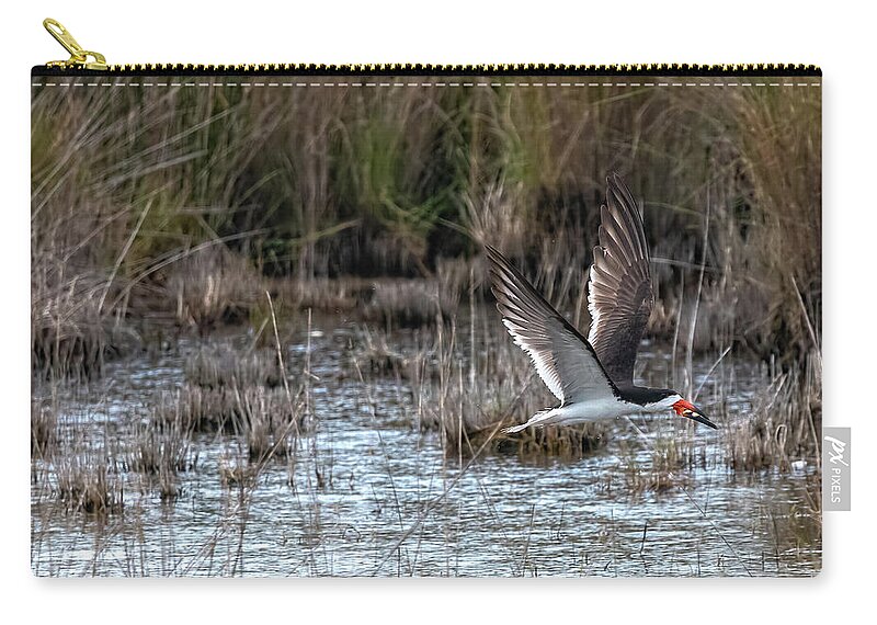 Birds Zip Pouch featuring the photograph Black Skimmer Triumphs Close Up by DB Hayes