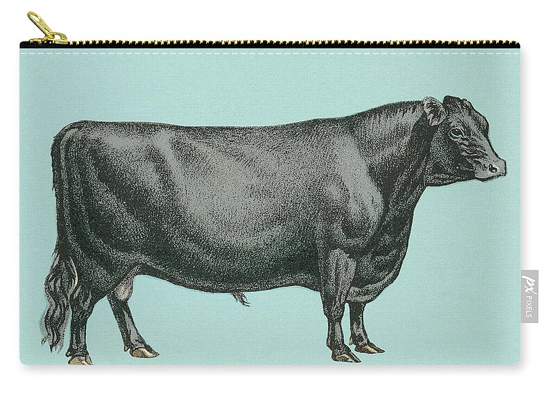 Agriculture Zip Pouch featuring the drawing Black Steer by CSA Images