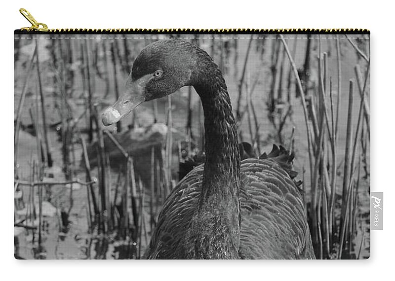 Donegal On Your Wall Zip Pouch featuring the photograph Black Swan 46 bw Donegal Ireland by Eddie Barron