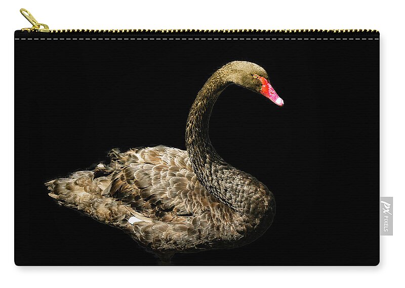 Swan Zip Pouch featuring the photograph Black Swan on Black by Alison Frank