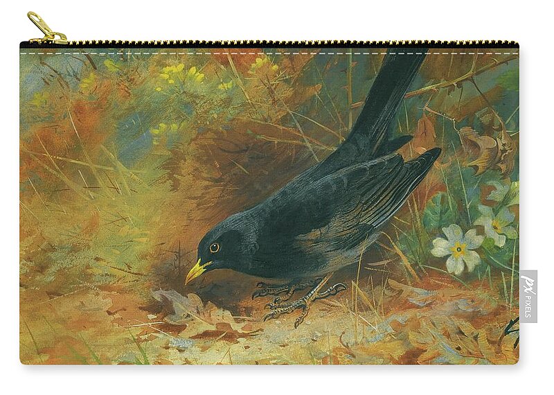 Birds Zip Pouch featuring the painting Blackbird by Archibald Thorburn