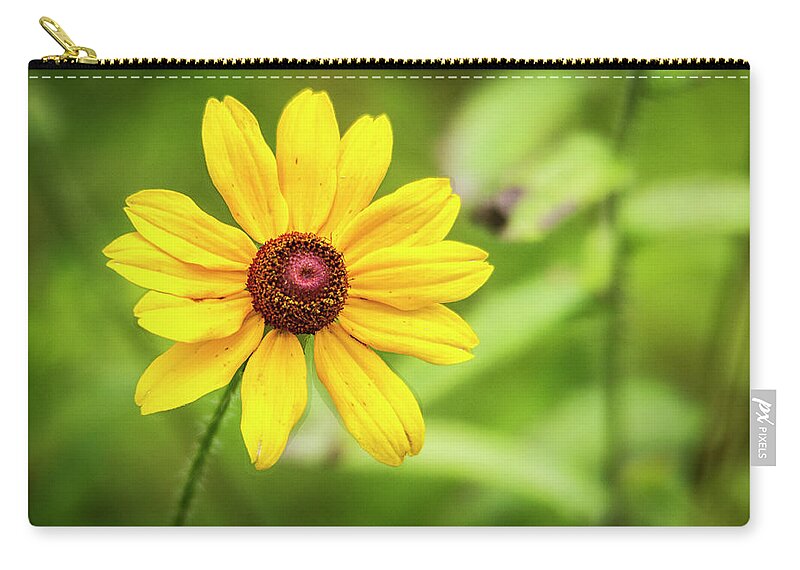 Flower Zip Pouch featuring the photograph Blackeyed Sue by Bob Decker