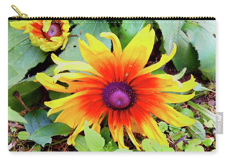 Flowers Zip Pouch featuring the photograph Blanket Flower by Nina-Rosa Dudy