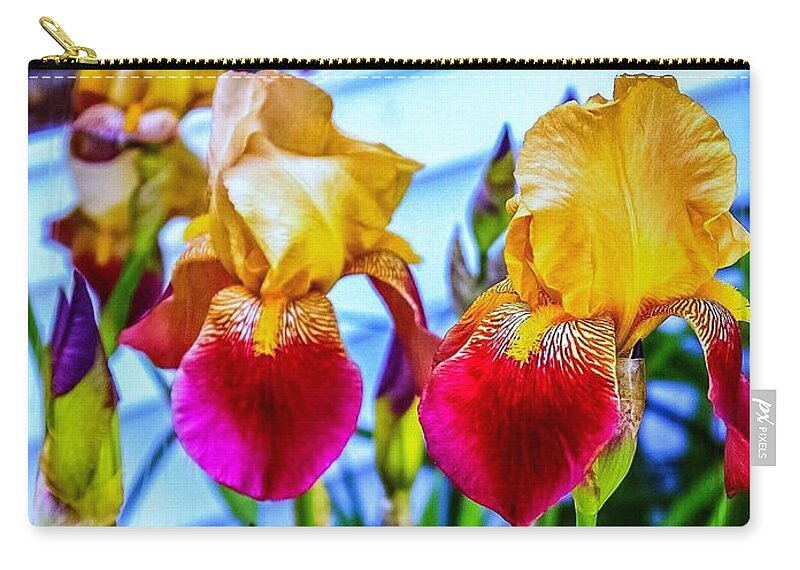 # Blatant Iris# Flowers#season# Spring # Tall# Bearded# Nature #colors # Yellow # Burgundy # Orange #leaves#green # Photography # (c)maryleeparker Mug # Weekend Tote # Shower Curtain #! Duvet Cover # Framed # Print#!greeting Card# Metal # Wood# Yoga Mat # Blanket #  Tapestry # T Stirt# Phone Case# Battery Case# Beach Towel # Tote Bag # Pouch# Round Towel# Notebook Zip Pouch featuring the photograph Blatant Iris by MaryLee Parker