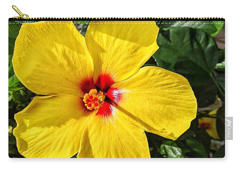 Flower Carry-all Pouch featuring the photograph Bloom and Shine by Portia Olaughlin