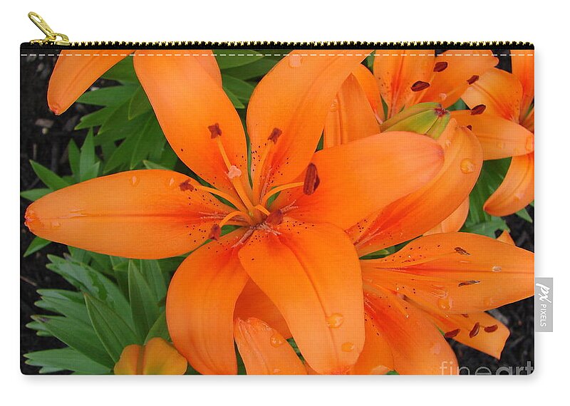 Flower Bloom Zip Pouch featuring the photograph Bloom Bloom 2 by Lee Antle