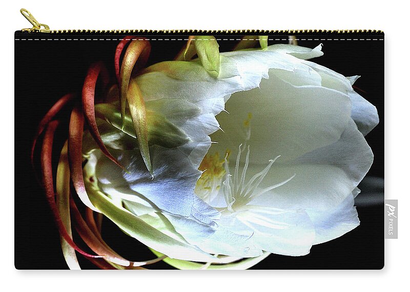 Part Of A Series Zip Pouch featuring the photograph Blooming Moonlight by I Love Photo And Apple.