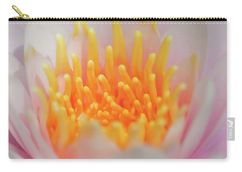 White Water Lily Zip Pouch featuring the photograph Blooming Virgins by Az Jackson