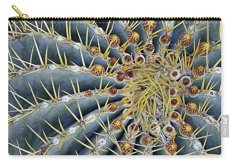 Sonoran Desert Zip Pouch featuring the photograph Blue Barrel Cactus Radial Symmetry by Ed Reschke