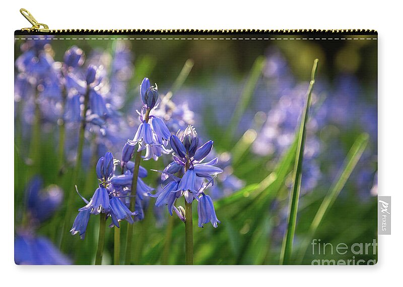 Grass Zip Pouch featuring the photograph Blue Bell by Kathy Strauss