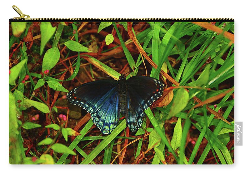 Blue Butterfly Of Shenandoah Zip Pouch featuring the photograph Blue Butterfly of Shenandoah by Raymond Salani III