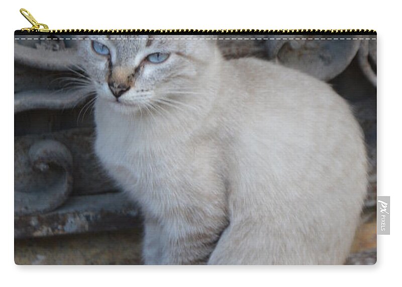 Cat Zip Pouch featuring the photograph Blue Eyed by Thomas Schroeder