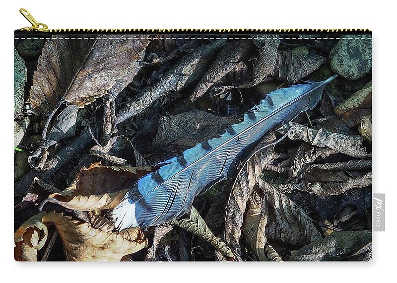 Blue Zip Pouch featuring the photograph Blue Feather by Buck Buchanan