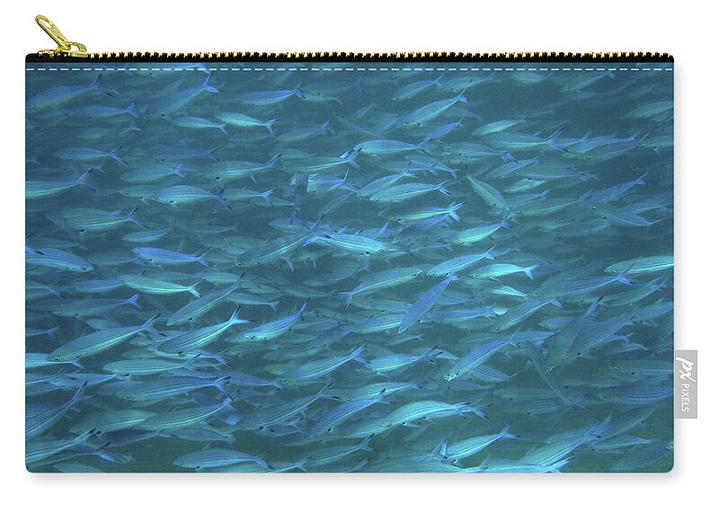 Underwater Zip Pouch featuring the photograph Blue Fish Galore by Federica Grassi