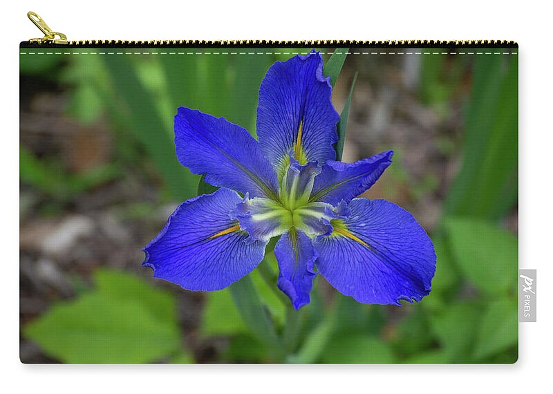 Blue Zip Pouch featuring the photograph Blue Iris by Patrick Nowotny