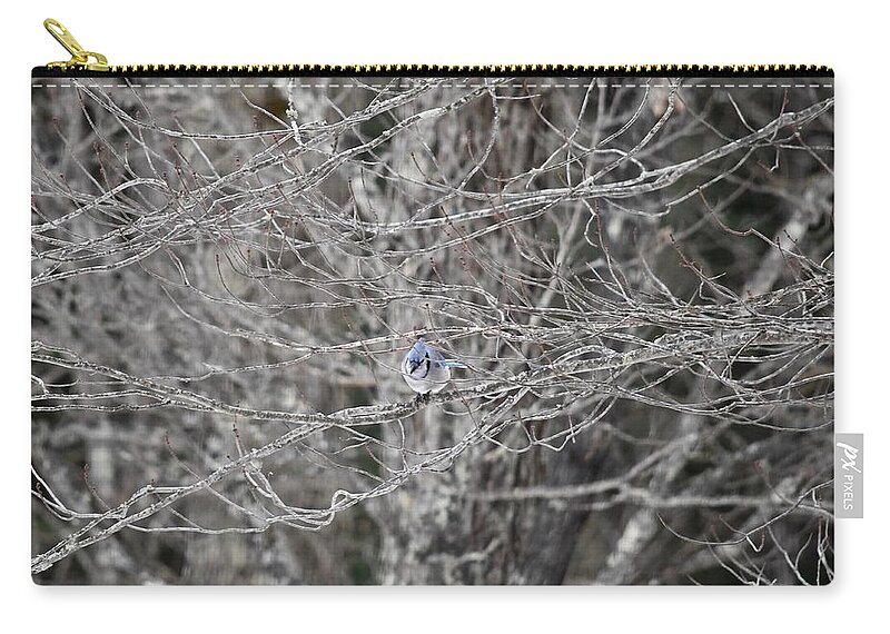 Bird Zip Pouch featuring the photograph Blue Jay in a Tree by Hella Buchheim
