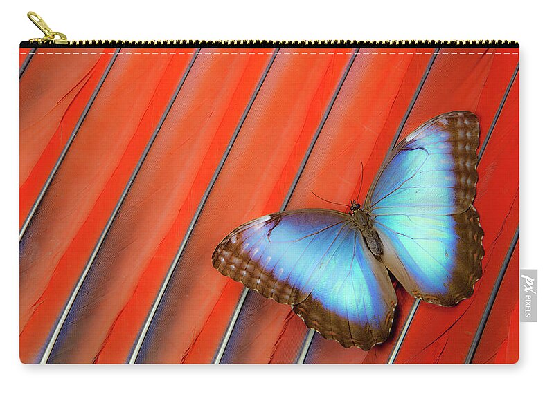 Natural Pattern Zip Pouch featuring the photograph Blue Morpho Butterfly Scarlet Macaw by Darrell Gulin