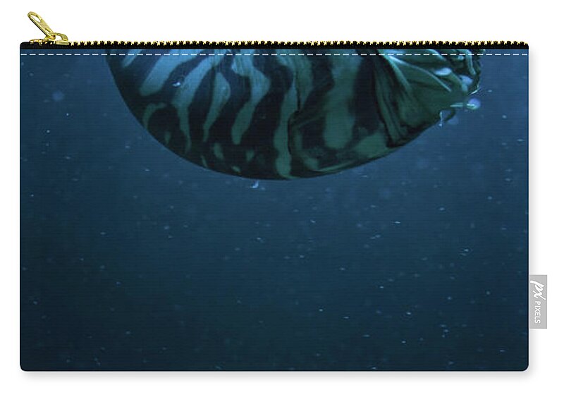 Underwater Zip Pouch featuring the photograph Blue Snail by © Marc Mateos