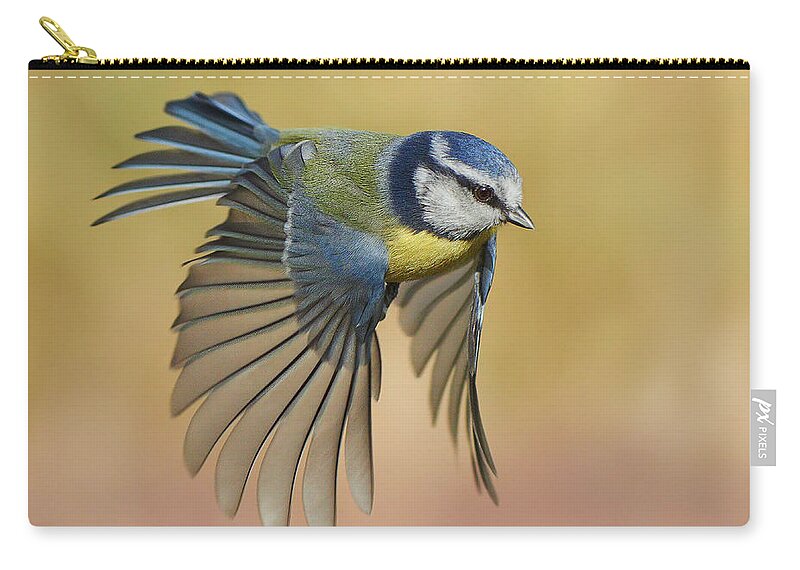 Transfer Print Zip Pouch featuring the photograph Blue Tit by J N Photography