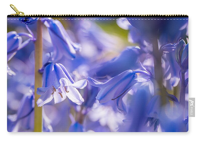 Bluebell Zip Pouch featuring the photograph Bluebell Afternoon by Derek Dean