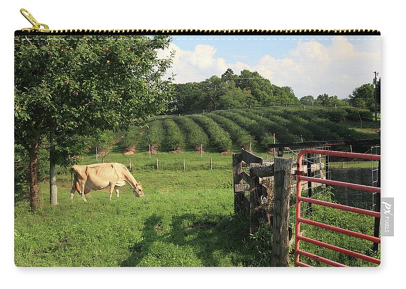 Grass Zip Pouch featuring the photograph Blueberry Farming by Mountainberryphoto