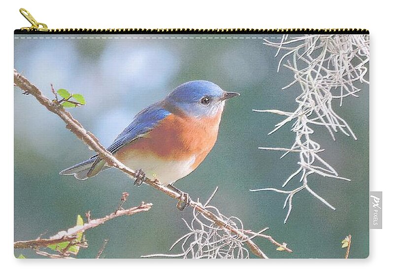 Bluebird Zip Pouch featuring the photograph Bluebird In Dixie by Tami Quigley