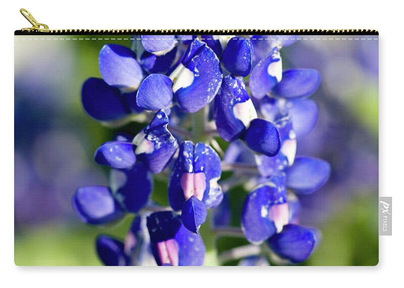Flowerbed Zip Pouch featuring the photograph Bluebonnet by Xjben