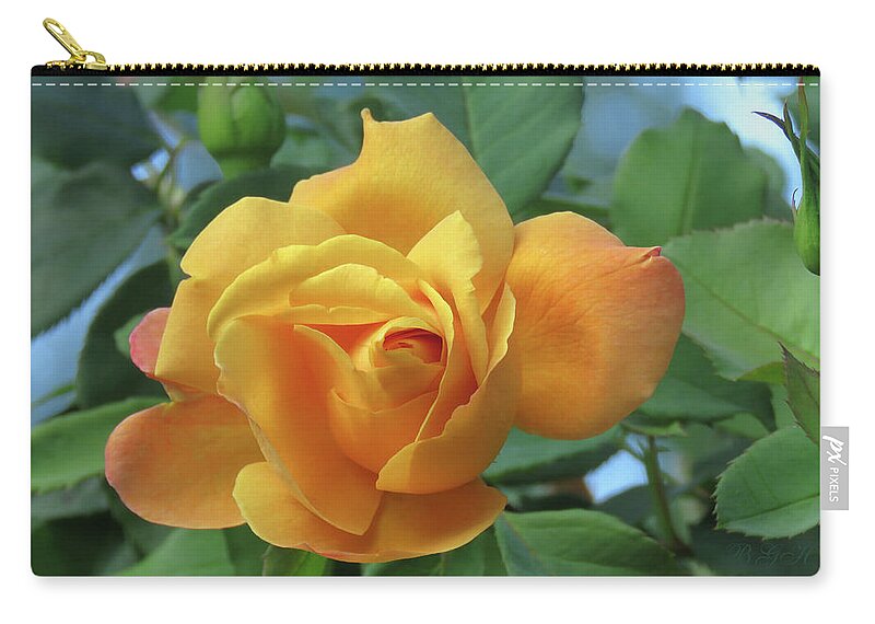 Rose Zip Pouch featuring the photograph Blushing Yellow Rose - The Perfect Yellow Rose - Floral Photography by Brooks Garten Hauschild