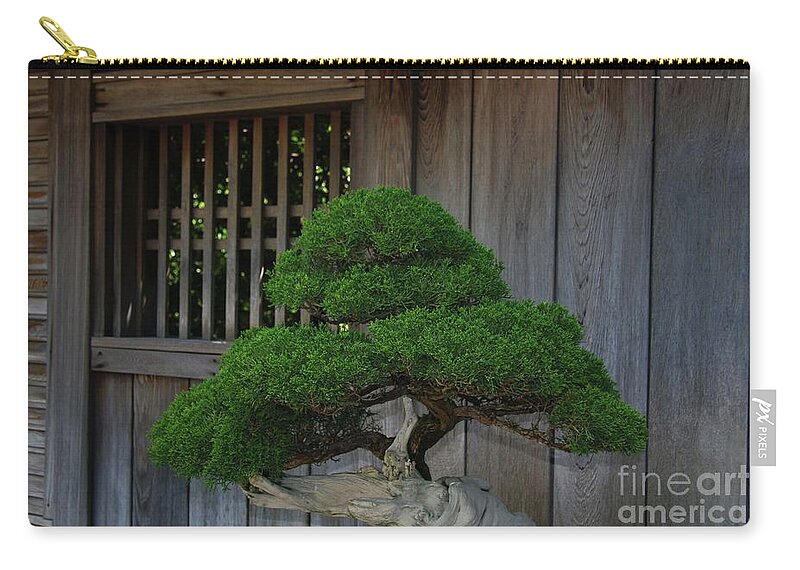Bonsai Tree Carry-all Pouch featuring the photograph Bonsai Beauty by Terri Brewster