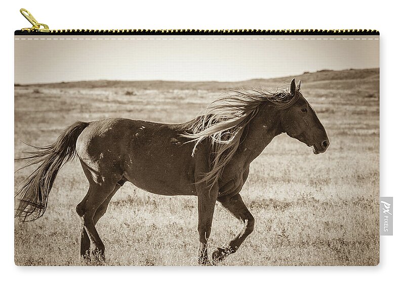  Wild Horses Zip Pouch featuring the photograph Born to be wild by Mary Hone